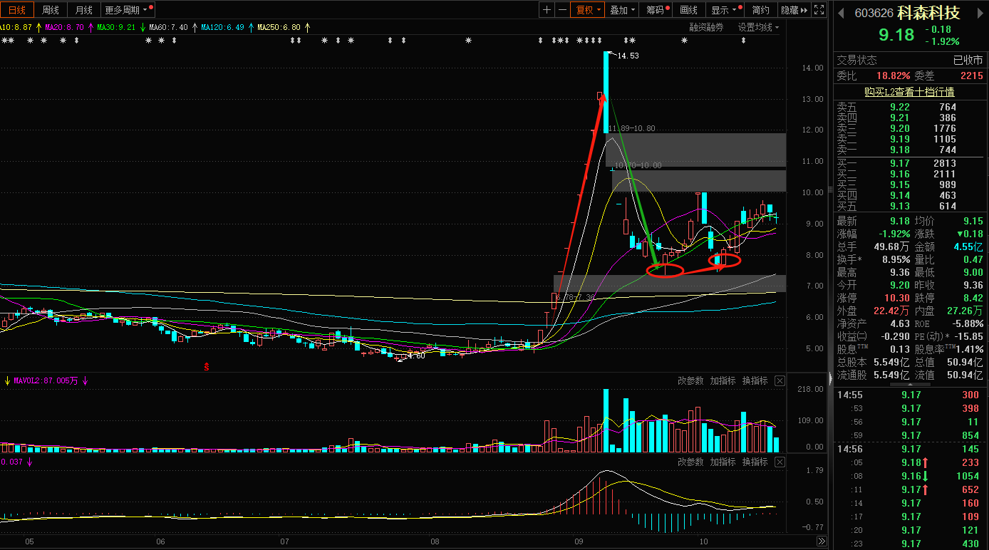 美容护理行业今日净流出资金4.76亿元,青岛金王等5股净流出资金超千万元