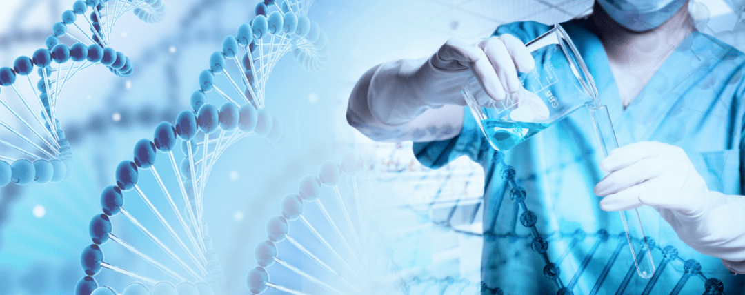 恒瑞医药一季度净利同比增36.9% 延续上年增长态势