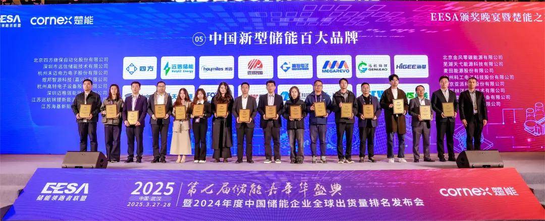 业绩“开倒车”，储能拖累营收、光伏产品亏本卖，林洋能源困局待解