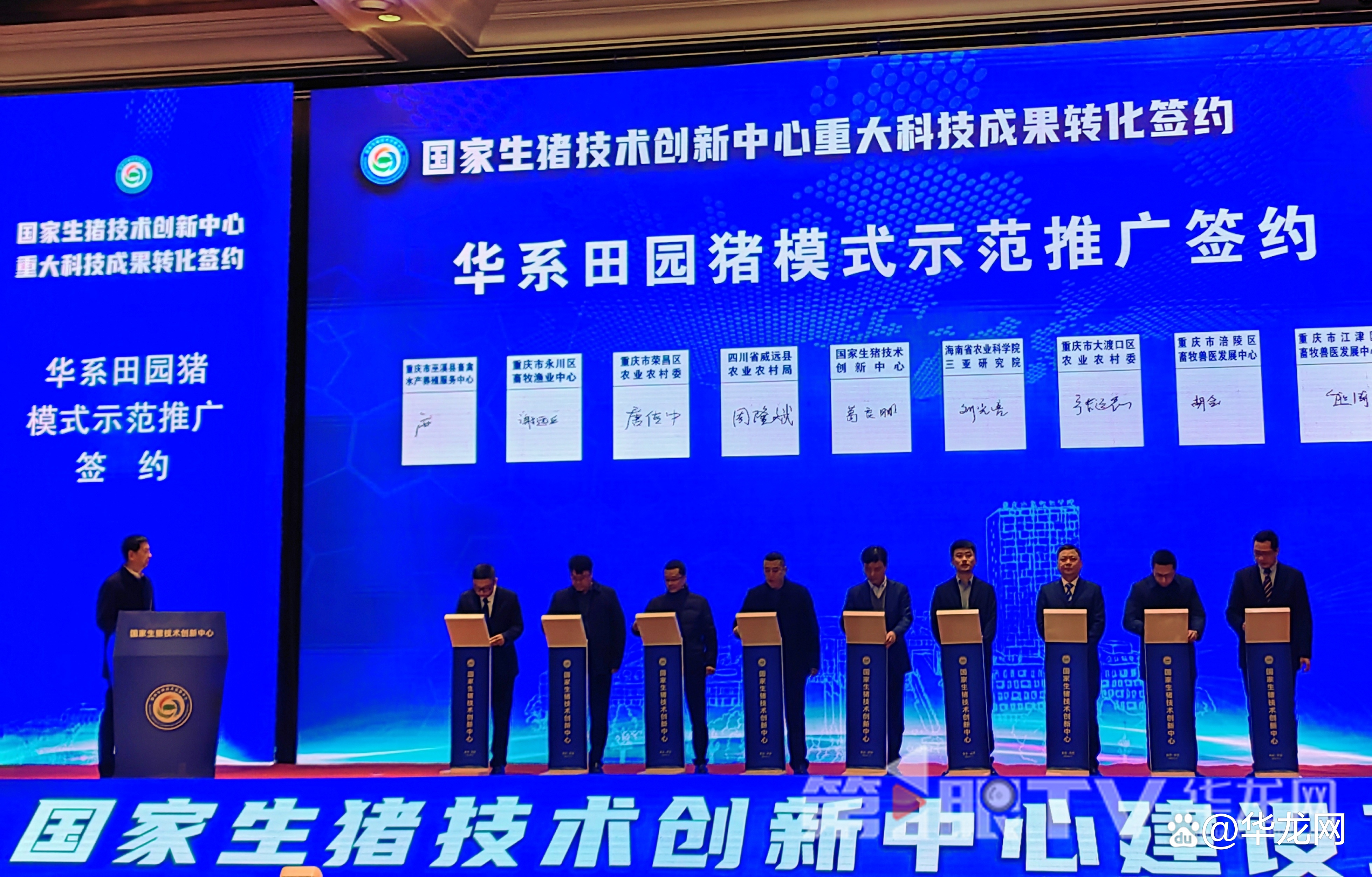 农业农村部：持续调整优化生猪产能