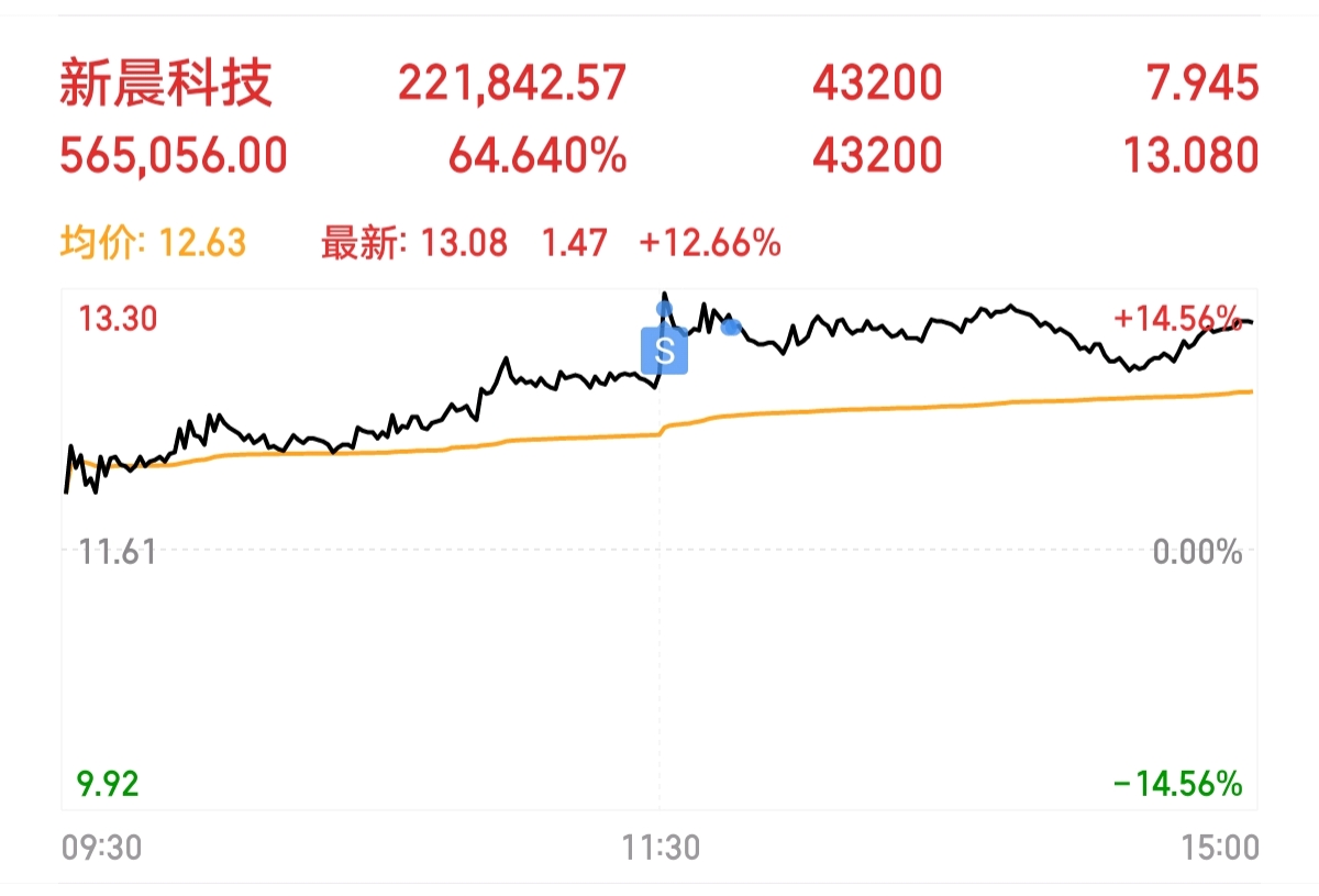 新晨科技（300542）2025年一季报简析：亏损收窄