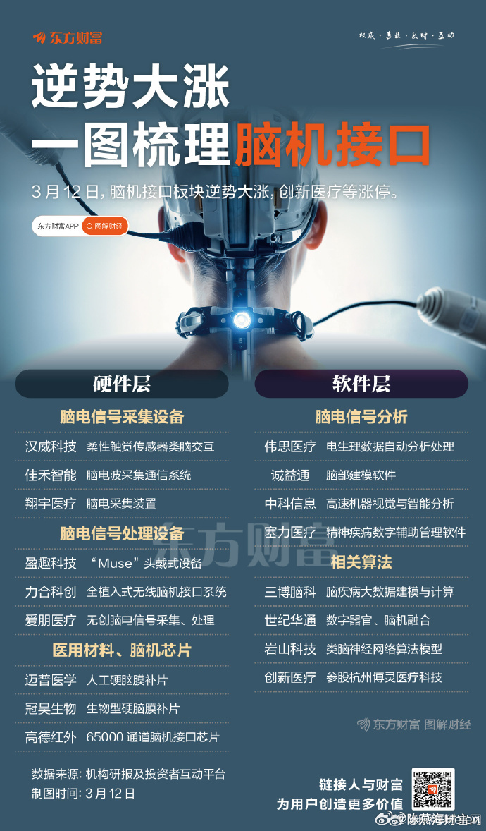 脑机接口概念涨5.04%，主力资金净流入16股