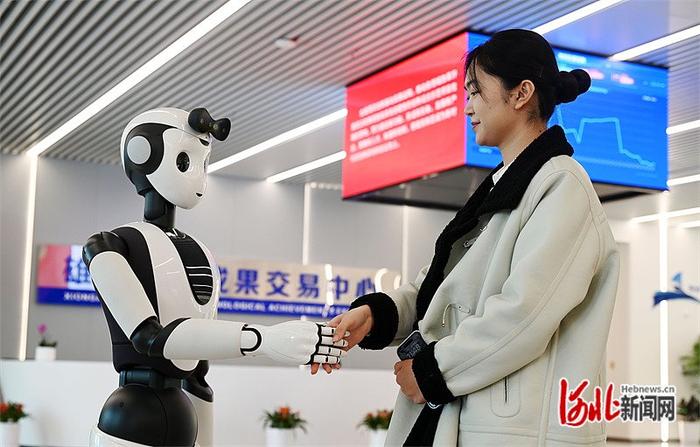 雄安雄极未来智能机器人产投合伙企业成立