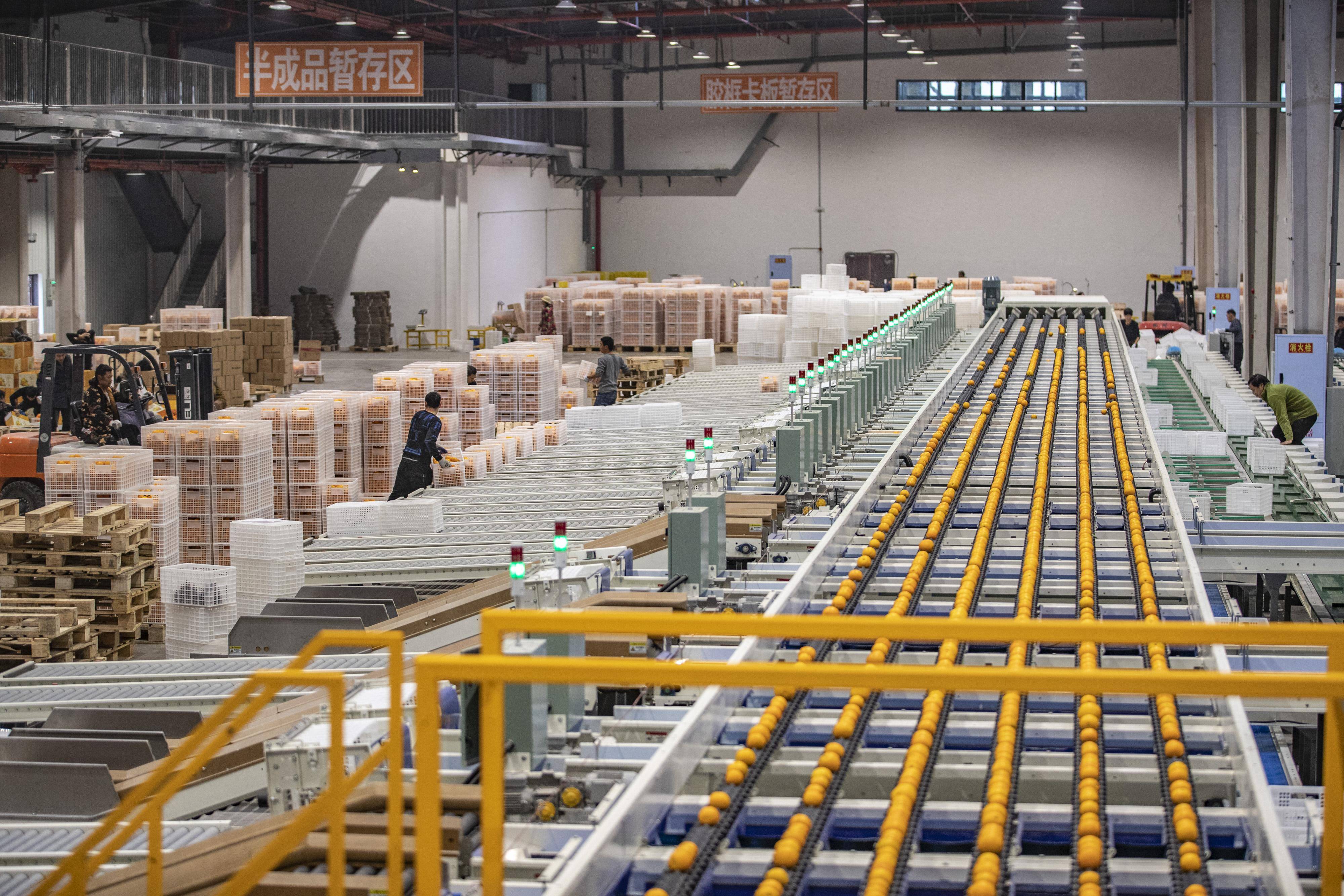 新华全媒头条|提“智”向新，奔向未来——当前机器人产业观察