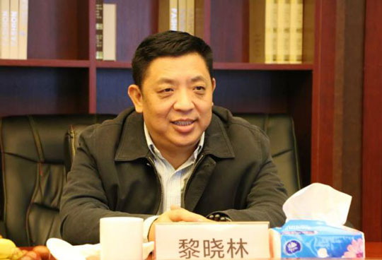 丰林集团接待刚果（金）驻华大使一行参观交流