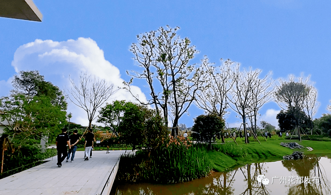 “塱头实验”国际首秀：塱头乡村振兴项目亮相威尼斯双年展