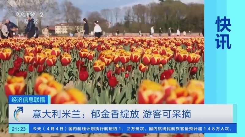 【财闻联播】全国首个！山东明确新能源入市方案！李在明正式登记参选韩国总统