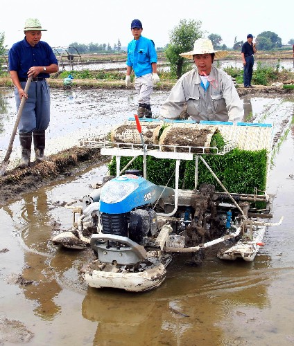 日本援助利比里亚水稻生产项目接近尾声