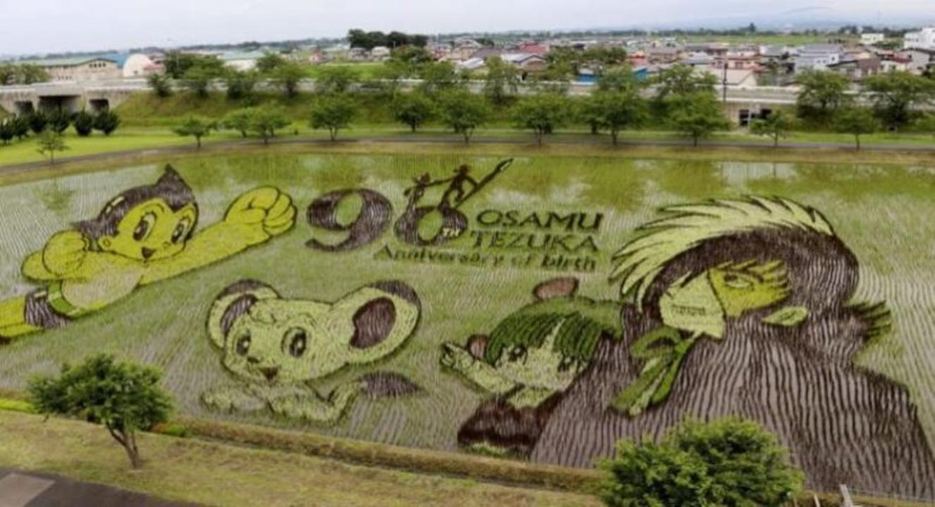 日本援助利比里亚水稻生产项目接近尾声