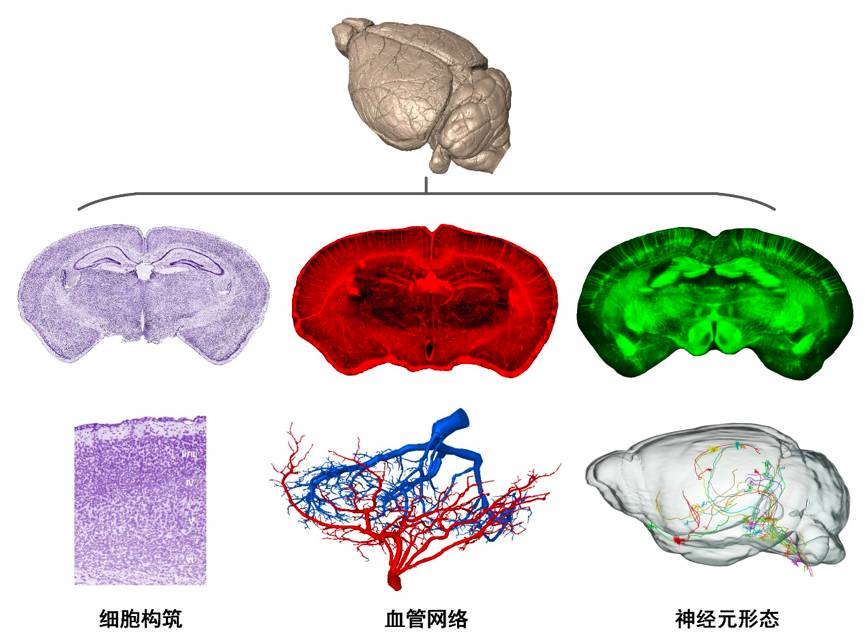 中国科学家实现1.36公里外毫米级高分辨成像技术