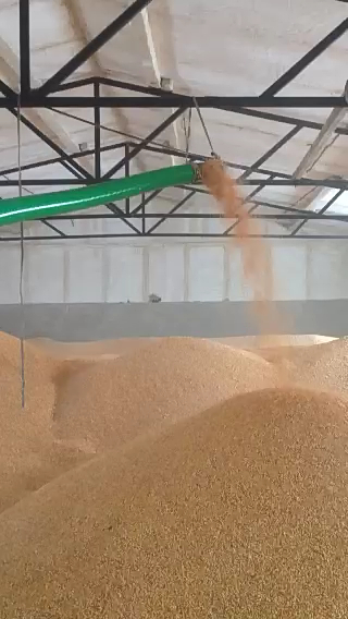 先锋电子：截止2025年5月9日，我公司股东总数为19,298户，其中机构户数为2,950户