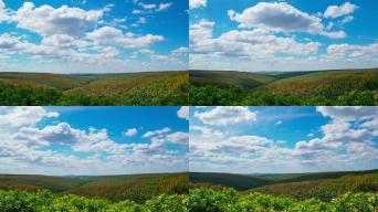 加纳对生橡胶、腰果和乳木果实施出口新规