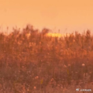 年轮经营 以员工幸福为本的慢成长