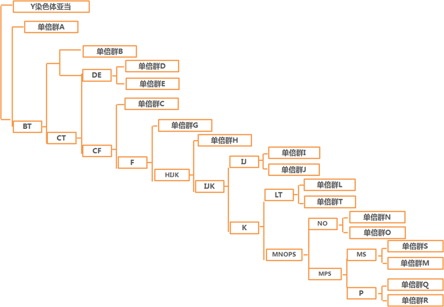 适应雨林？古人类混血？东南亚人群基因组被破译