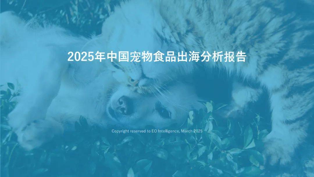 对话ACCA行政总裁白容：跨文化发展的思维方式和理解是企业出海关键点