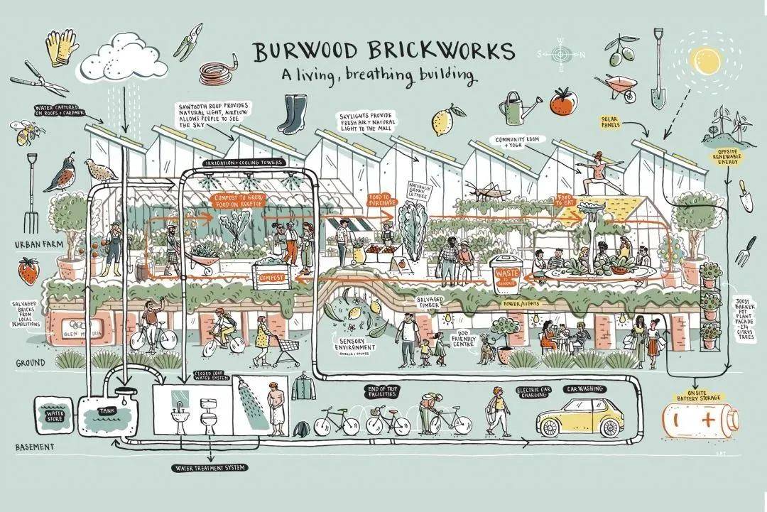 解码未来农场：农业+文旅的价值闭环与城乡共振