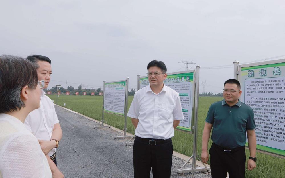 三安光电：为全球半导体产业创新协作注入新动能