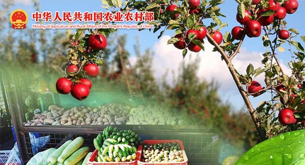 农业农村部：全国农产品批发市场猪肉平均价格为20.91元/公斤 较上周五降0.1%