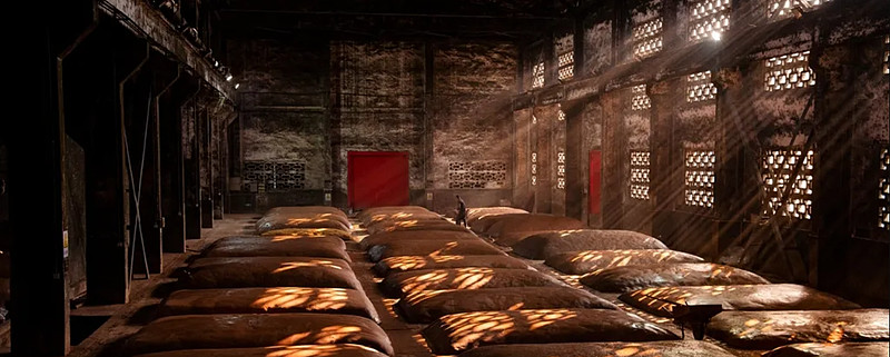 财险公司一季度经营透视：头部承包八成净利润 近七成企业成本率改善