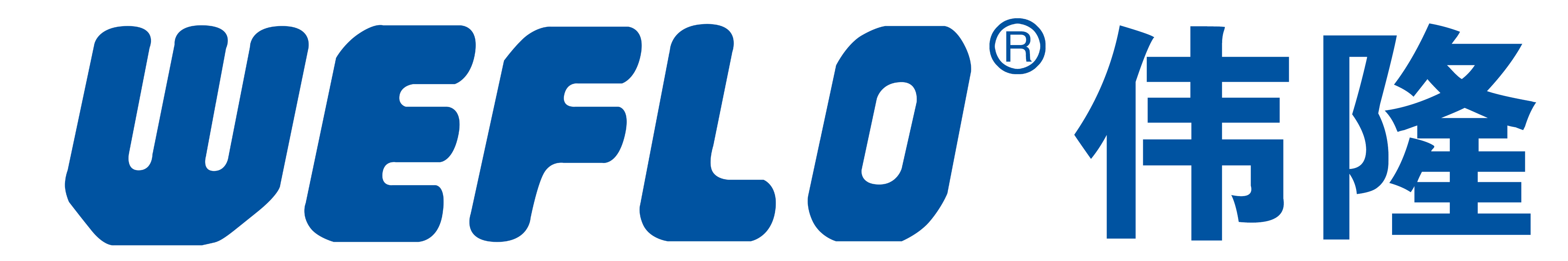 伟隆股份获得外观设计专利授权：“检测仪”