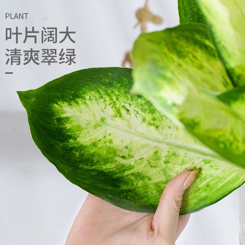 永赢基金晏青长期跑输基准遭撤换！继任者蒋卫华同类产品业绩悬殊