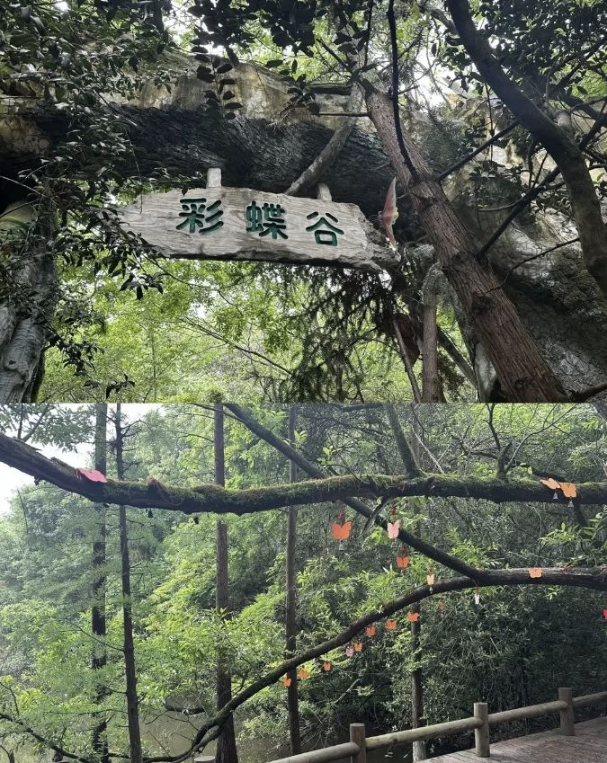 减收减利的天目湖：三大核心5A级景区去年业绩全面下滑，募投项目五年“难产”
