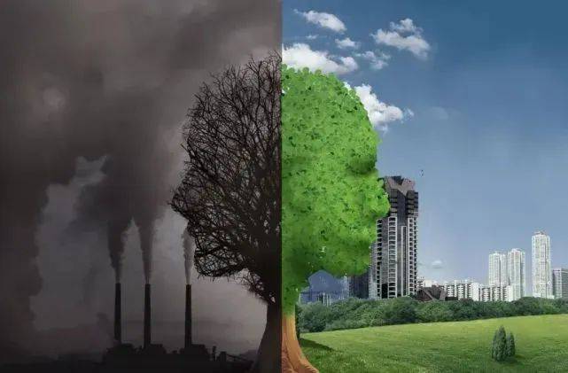 透过数据看“十四五”答卷：从系统布局到全面突破 构建全球绿色低碳发展新范式