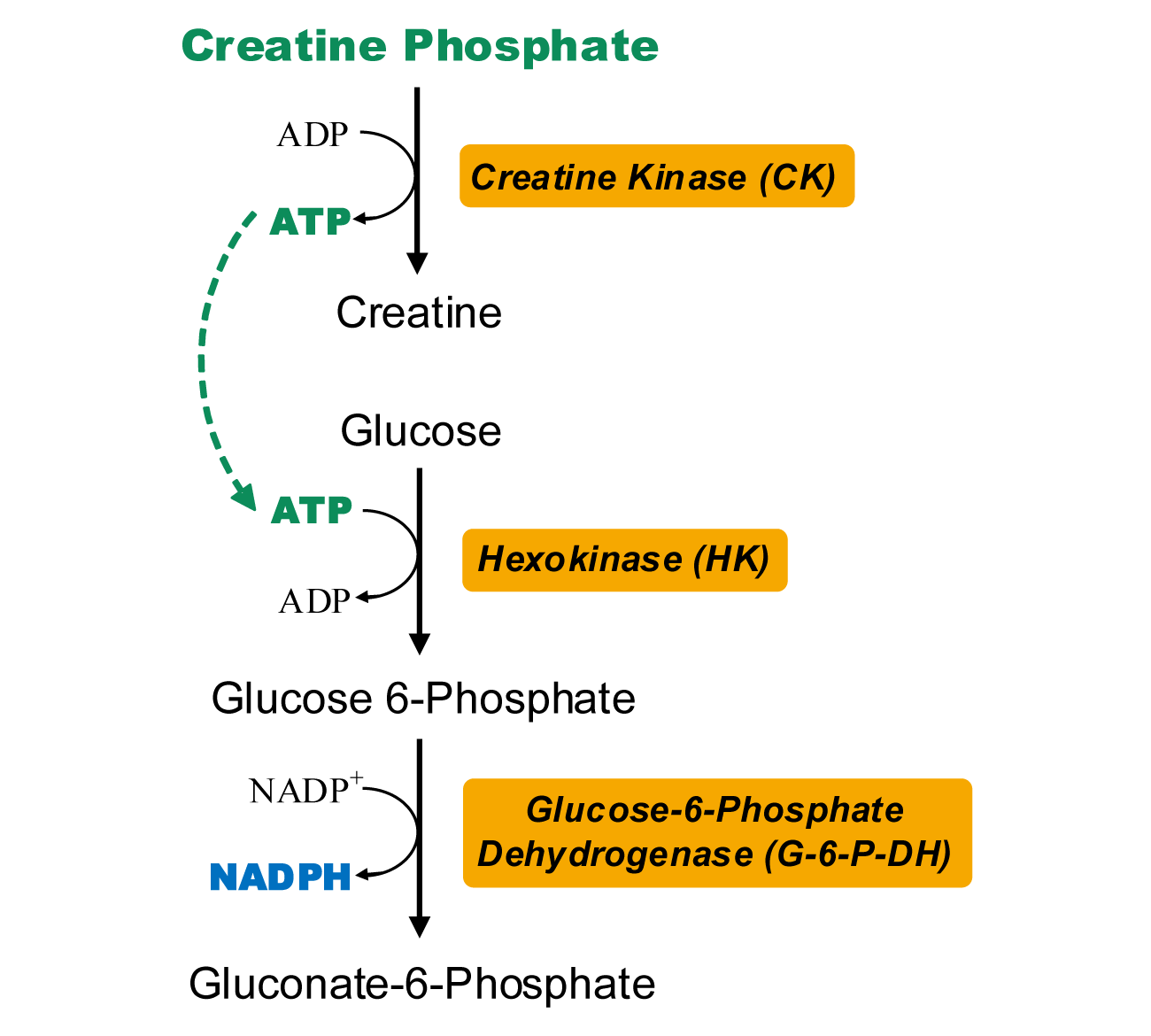 迈瑞医疗获得发明专利授权：“肌酸激酶检测试剂、试剂盒和检测方法”