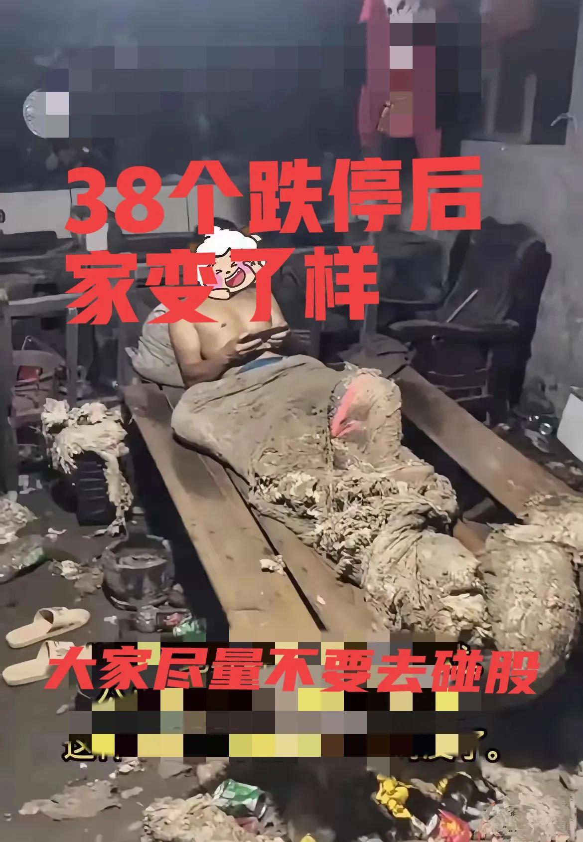 买股票，哪些习惯帮我避了坑？| 猫猫看市