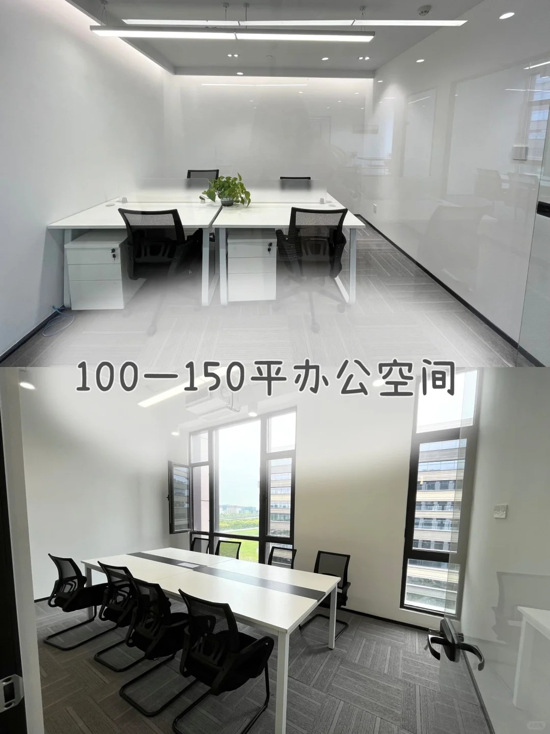 泰恩康股价又创新高，今日涨3.57%