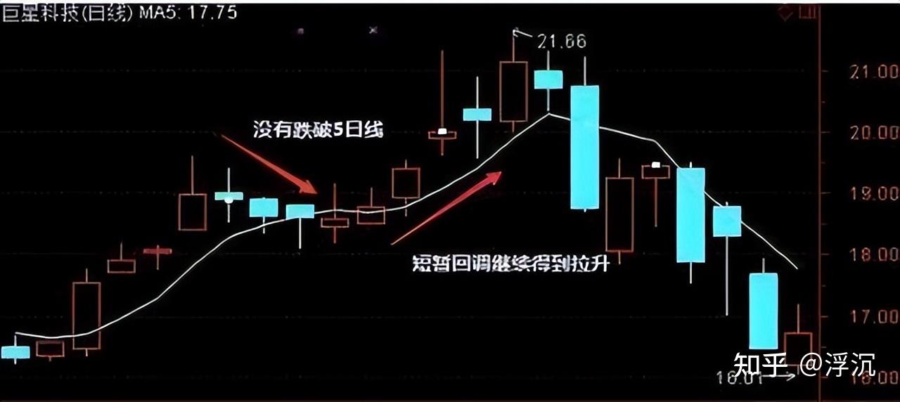共创草坪连续5日涨停 公司提示风险