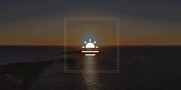 AI催生智能仿生森林环境系统 香江集团、松下、泰创联合发力