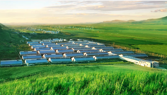 直击新乳业股东大会 董事长席刚：跳出市场内卷 笃定“鲜”战略