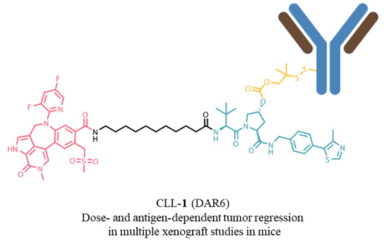 “变色龙”芯片赛道蓄势待发 国产厂商加紧追赶