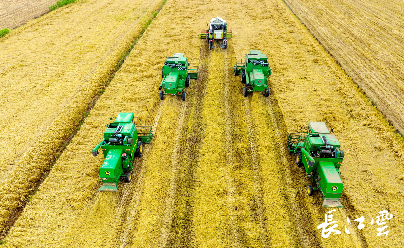 机械城堡”为小麦智能“控水”