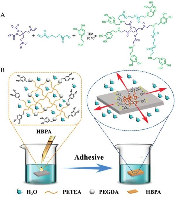 新型胶粘剂实现可见光固化、微波拆解