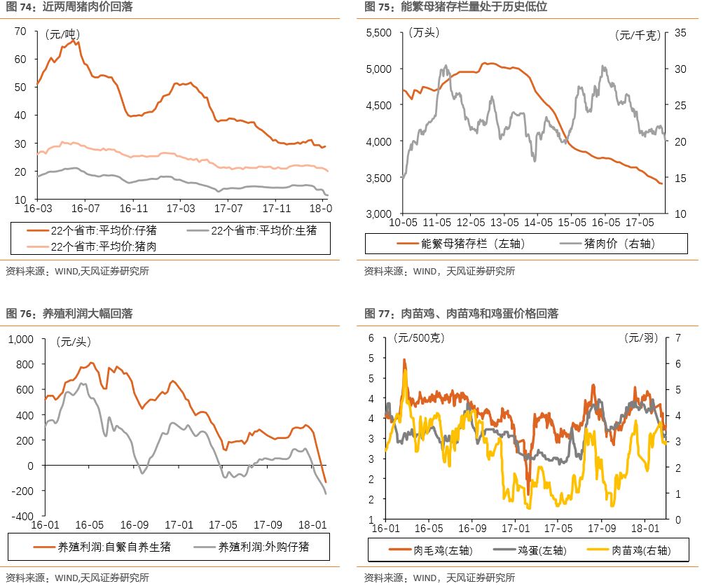 美线航运价格高位回落