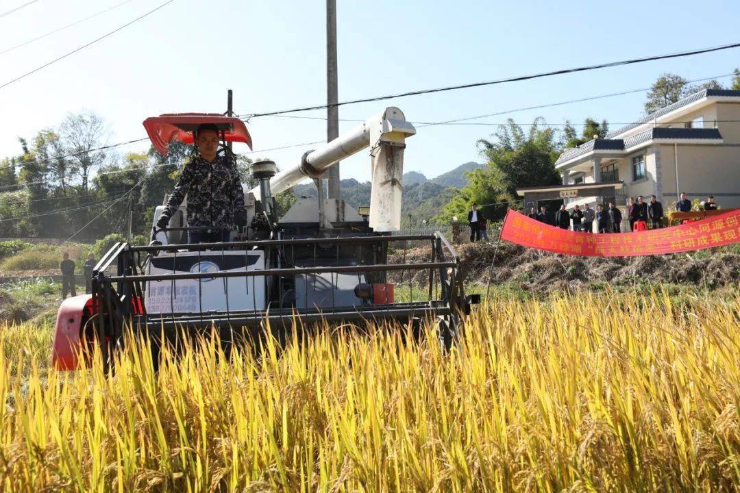 科特迪瓦与几内亚开展水稻种植技术合作