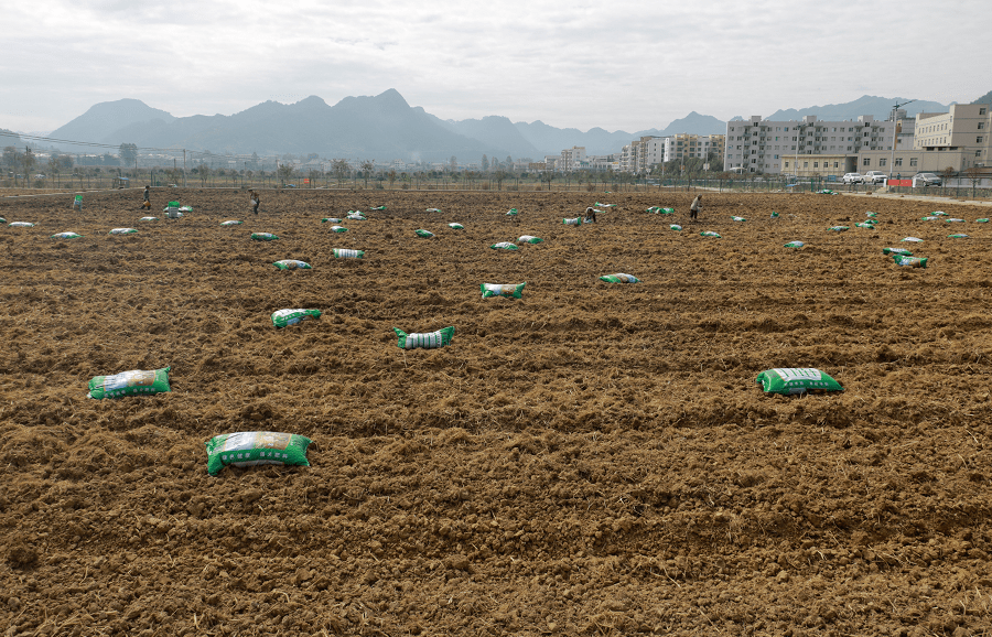 尼农业部长认为化肥预算不足