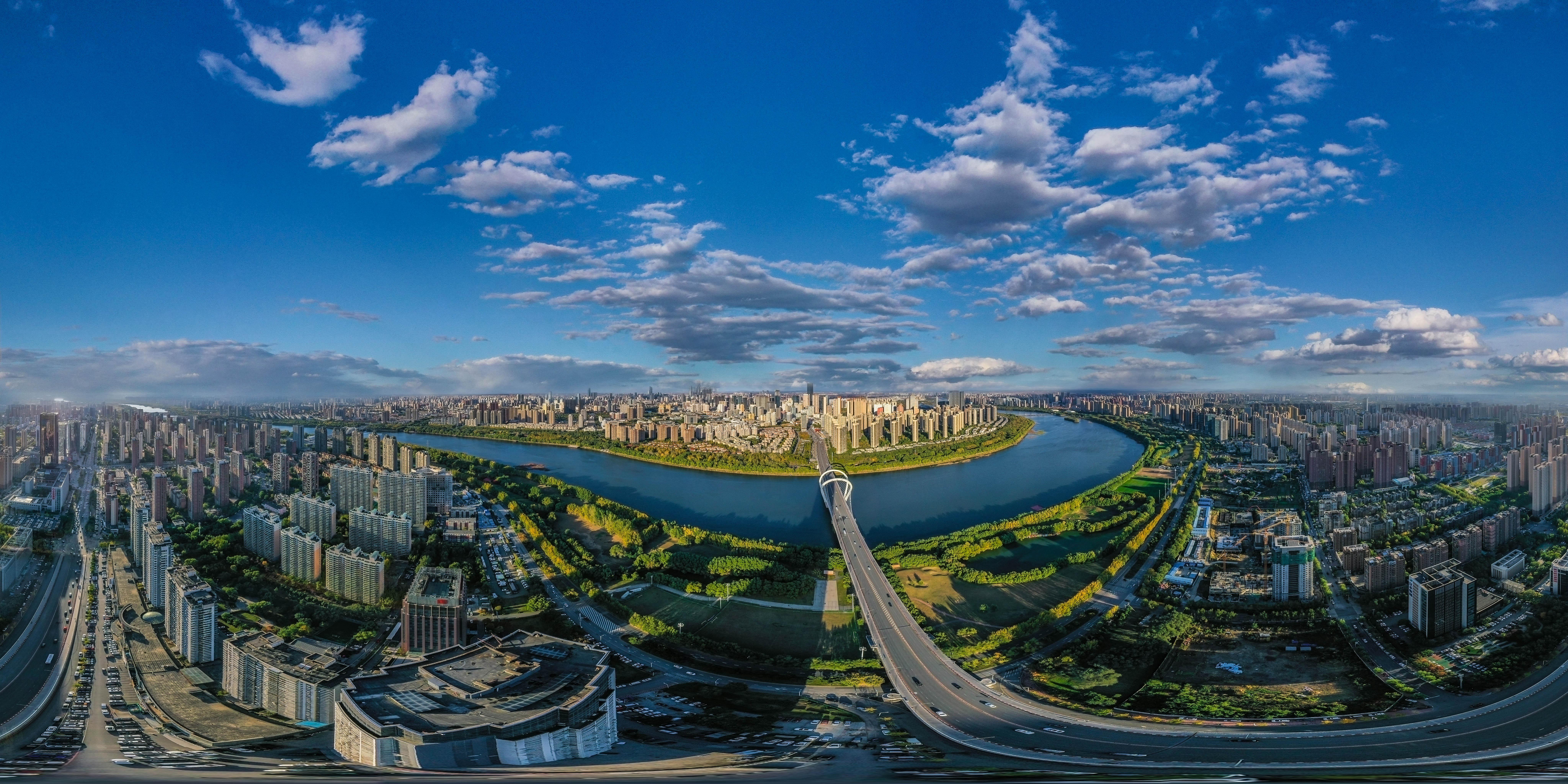 陕西推动特色现代农业高质量发展迈上新台阶