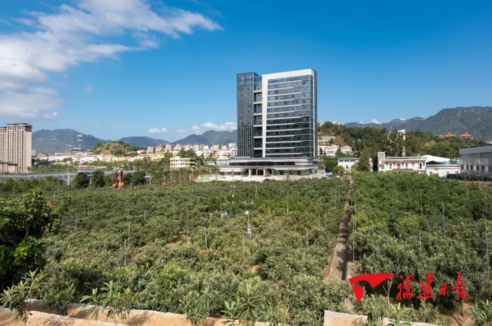 陕西推动特色现代农业高质量发展迈上新台阶