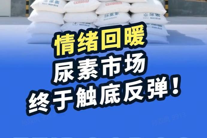 债券市场情绪回暖 月内新成立19只债基