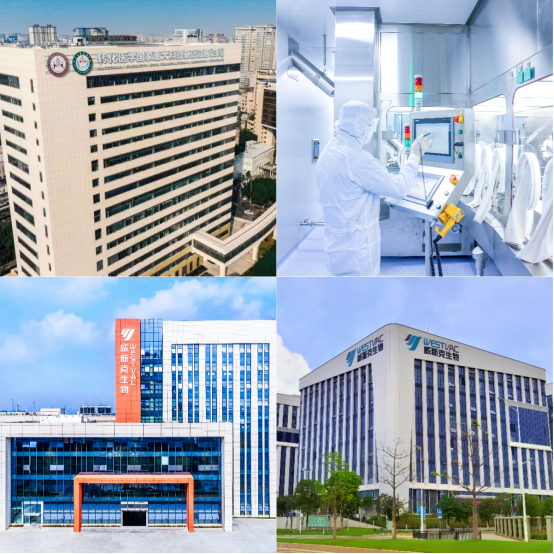 亿帆医药：子公司人生长激素注射液临床试验获批