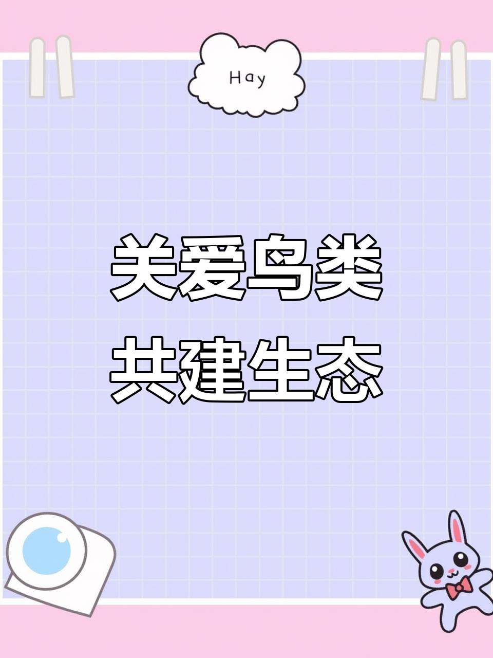 爱鸟护鸟，这些科技手段在助力