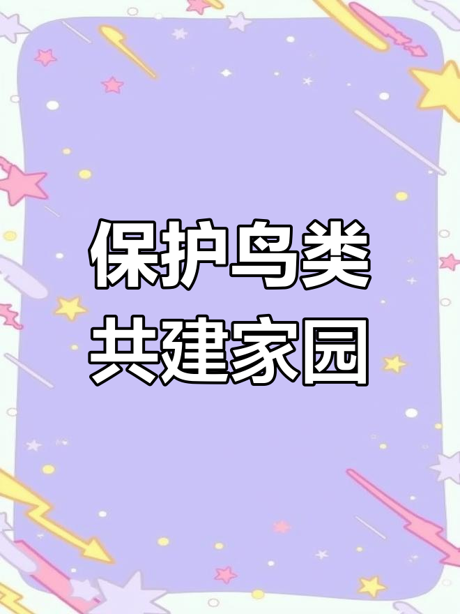 爱鸟护鸟，这些科技手段在助力