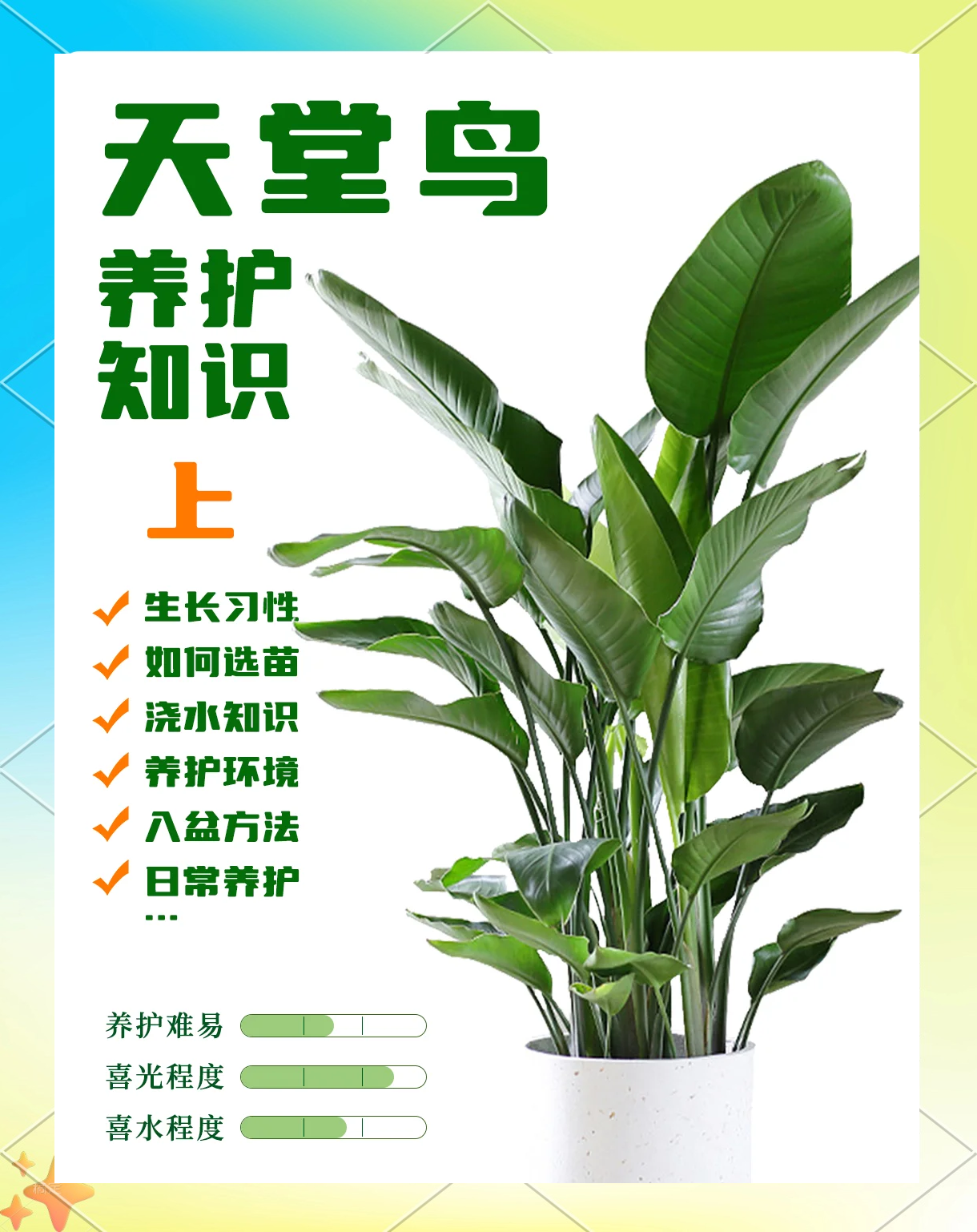 爱鸟护鸟，这些科技手段在助力