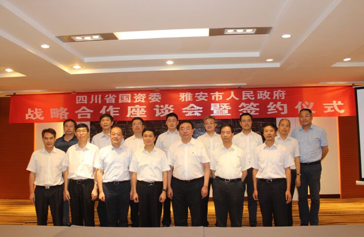 张正红任四川省国资委党委书记