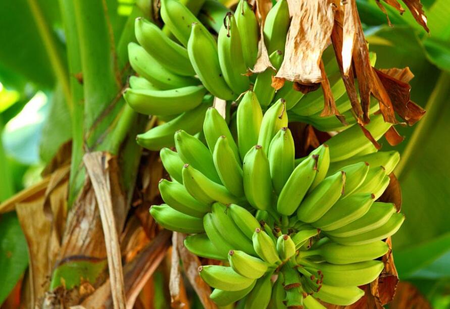 早新闻｜绿色低碳领域大消息