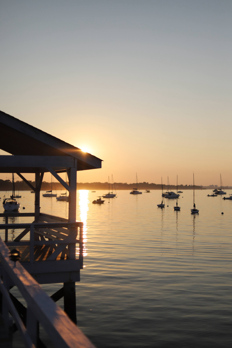 信捷电气等投资成立数字技术公司