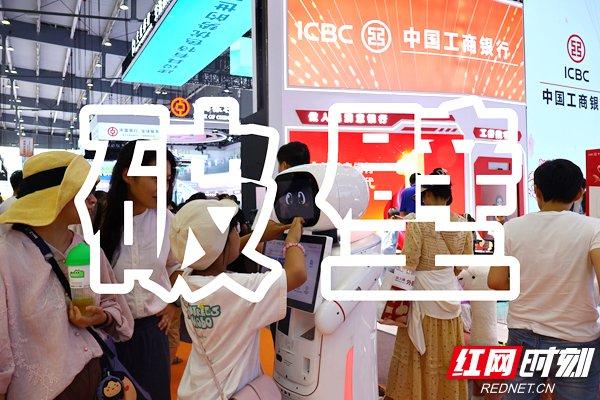 第四届中国―非洲经贸博览会在长沙举行